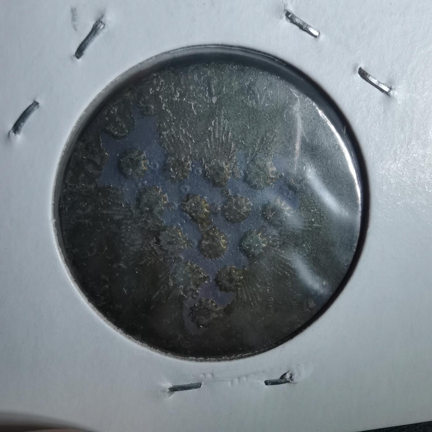 沼泽如烟--第857场 币形纪念章