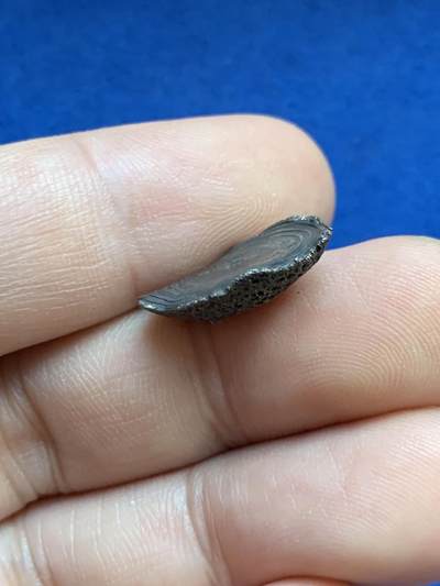 《竞宝斋》第424场 周日，周一，周二  3场连拍 （全场包邮） 两枚一组 迷你小银锭 7.22g