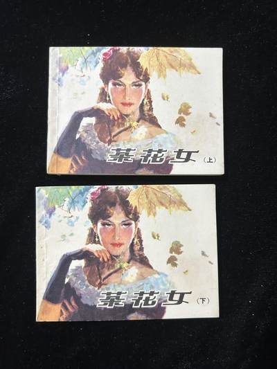 连环画拍卖专场 - 茶花女，上下册全套