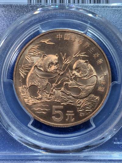 《竞宝斋》第424场 周日，周一，周二  3场连拍 （全场包邮） PCGS MS67RD 中国1993年珍惜野生动物-大熊猫5元纪念币