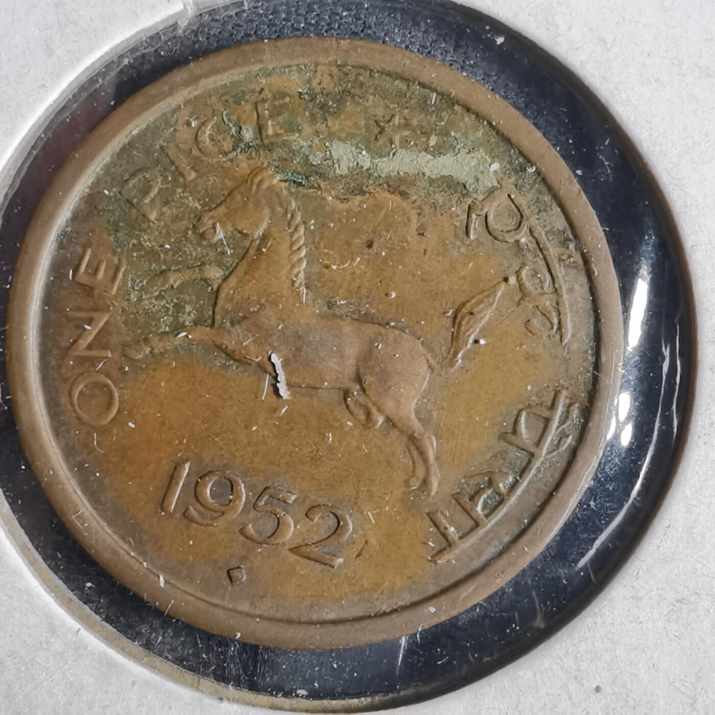 沼泽如烟--第857场 印度1952年1派斯