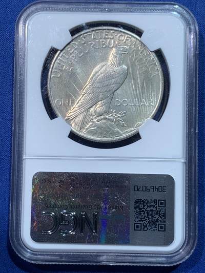 《竞宝斋》第424场 周日，周一，周二  3场连拍 （全场包邮） NGC MS63 美国1924年和平鸽1美元银币