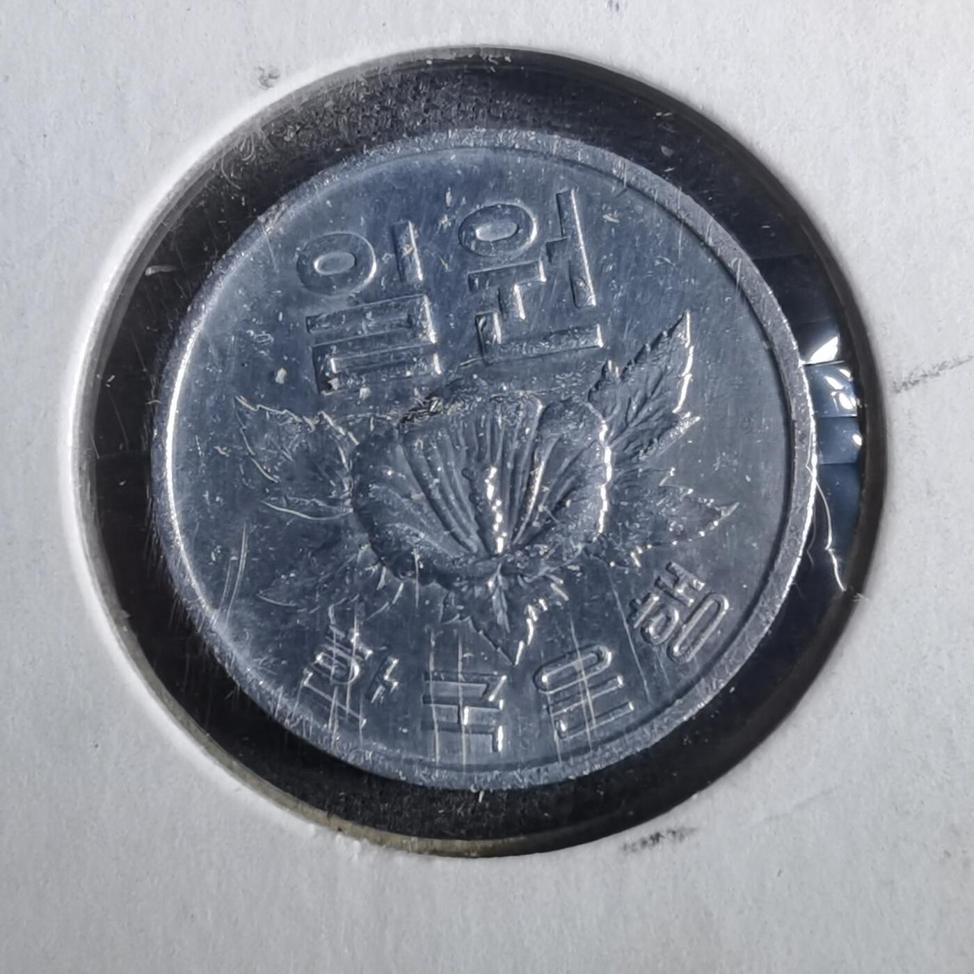 沼泽如烟--第857场