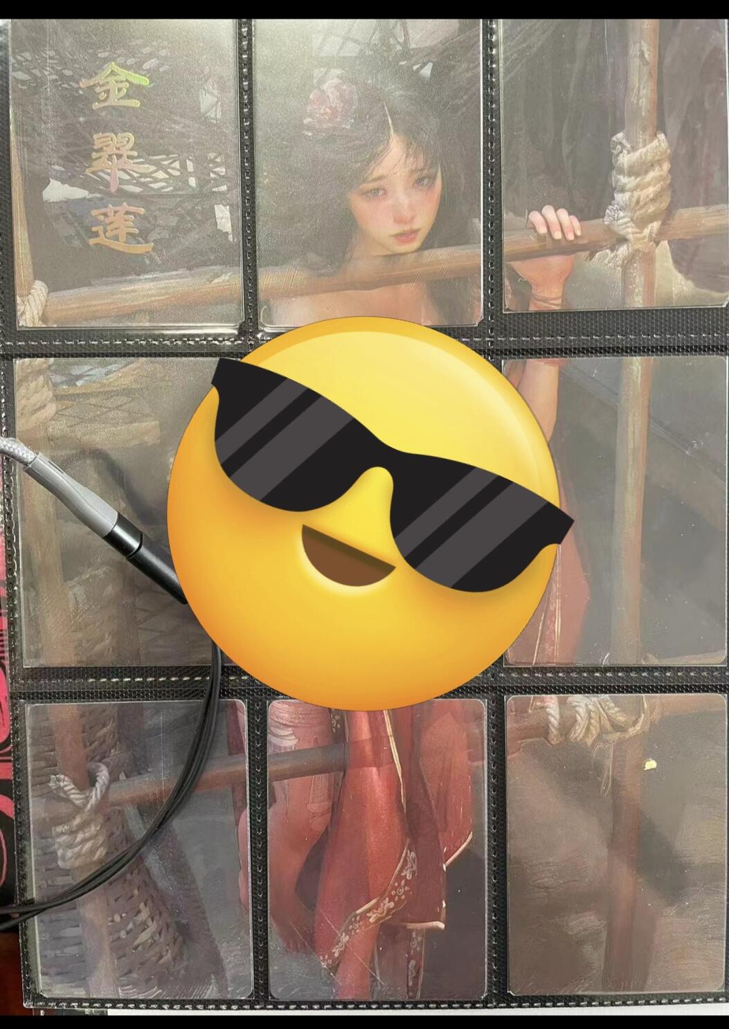 寸草不生拍卖会 第九期 （ 持续收拍中） 焱卡文化 BT-Brush 刷子老师人间传9拼  金翠莲