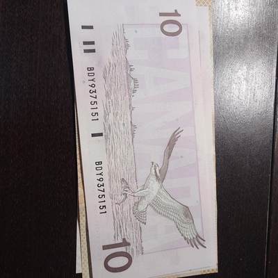 世界钱币～微拍第206期暨2025年第46期  库存低端货品低价起拍【务必提供节假日能收到货的地址，避免单位地址】 - 1989年加拿大鸟版10元 全新绝品无4尾号5151