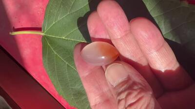 零元拍：南红玛瑙戒面。尺寸：约5.4克，27/16MM，颜色以实物为准。