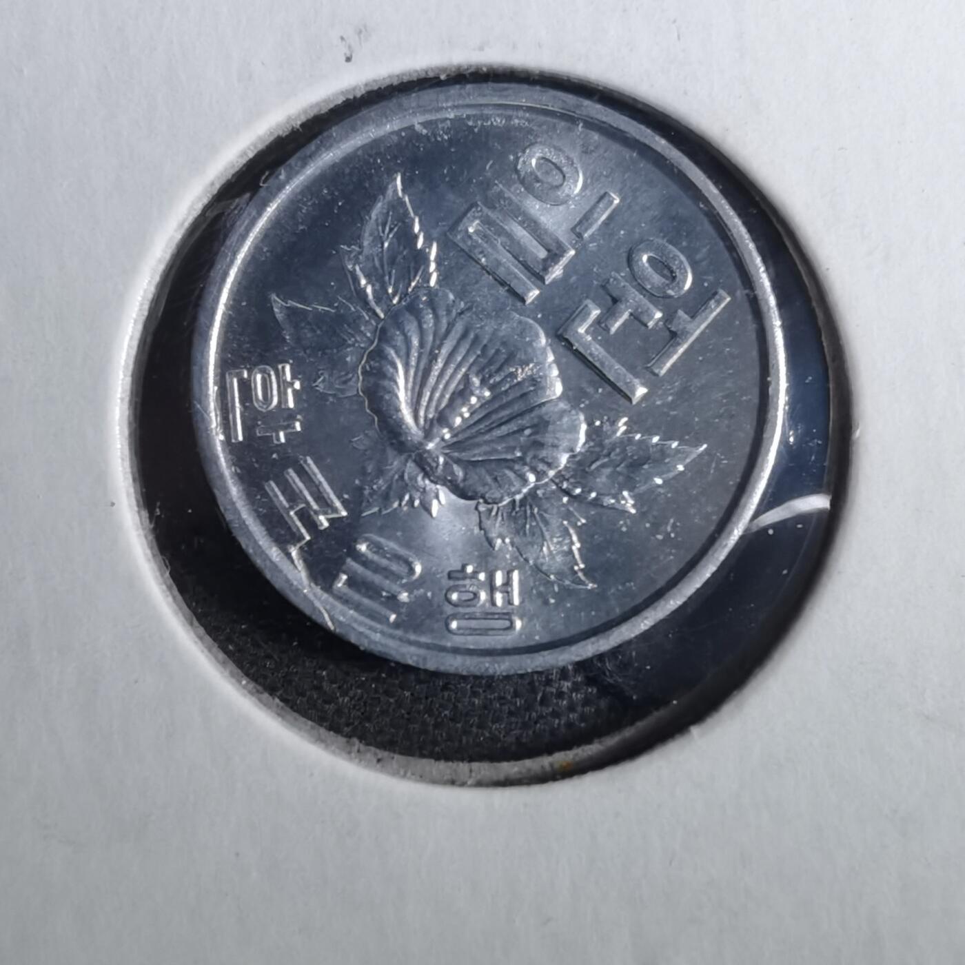 沼泽如烟--第857场