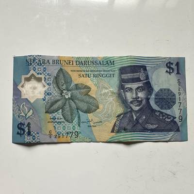 🌹外币初藏🌹🐯2025年第109场  每周二四六晚8️⃣点 接代拍 - 文莱1996年¥1