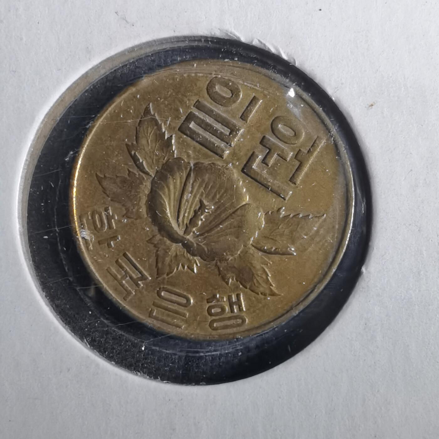 沼泽如烟--第857场