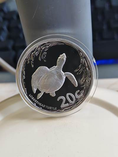 第177期拍卖【长期征集拍品】 - 南非2013年海洋保护区系列海龟精制1盎司纪念银币，33.626克，发行量1000枚，925银