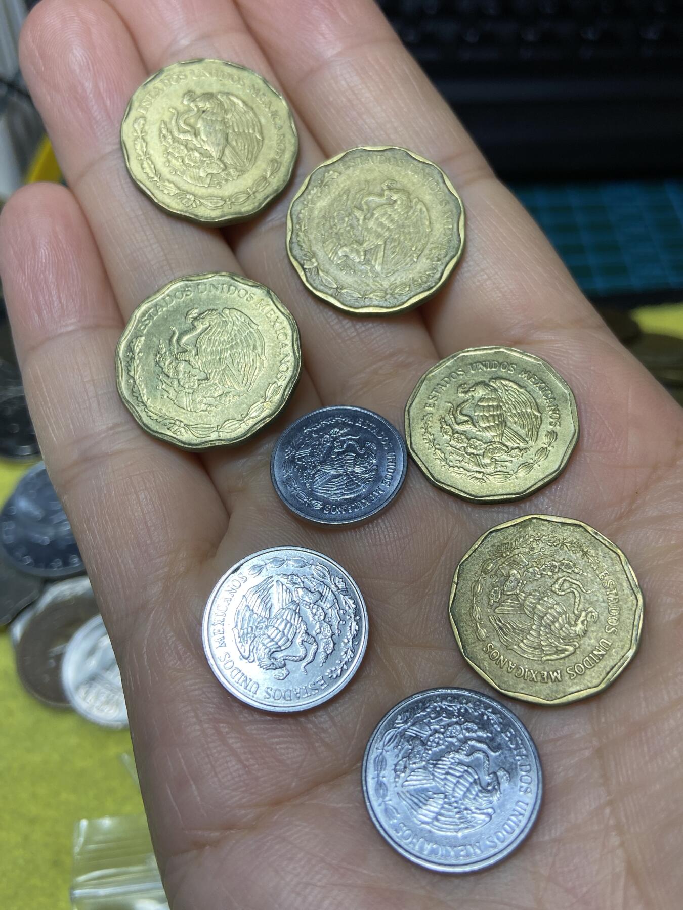 2025年第九十九场(总第一百二十五场）外国好品散币(免佣金) 墨西哥🇲🇽8枚：1997年93年，2001年50分，1994年2001年20分，1995年98年10分，1998年5分