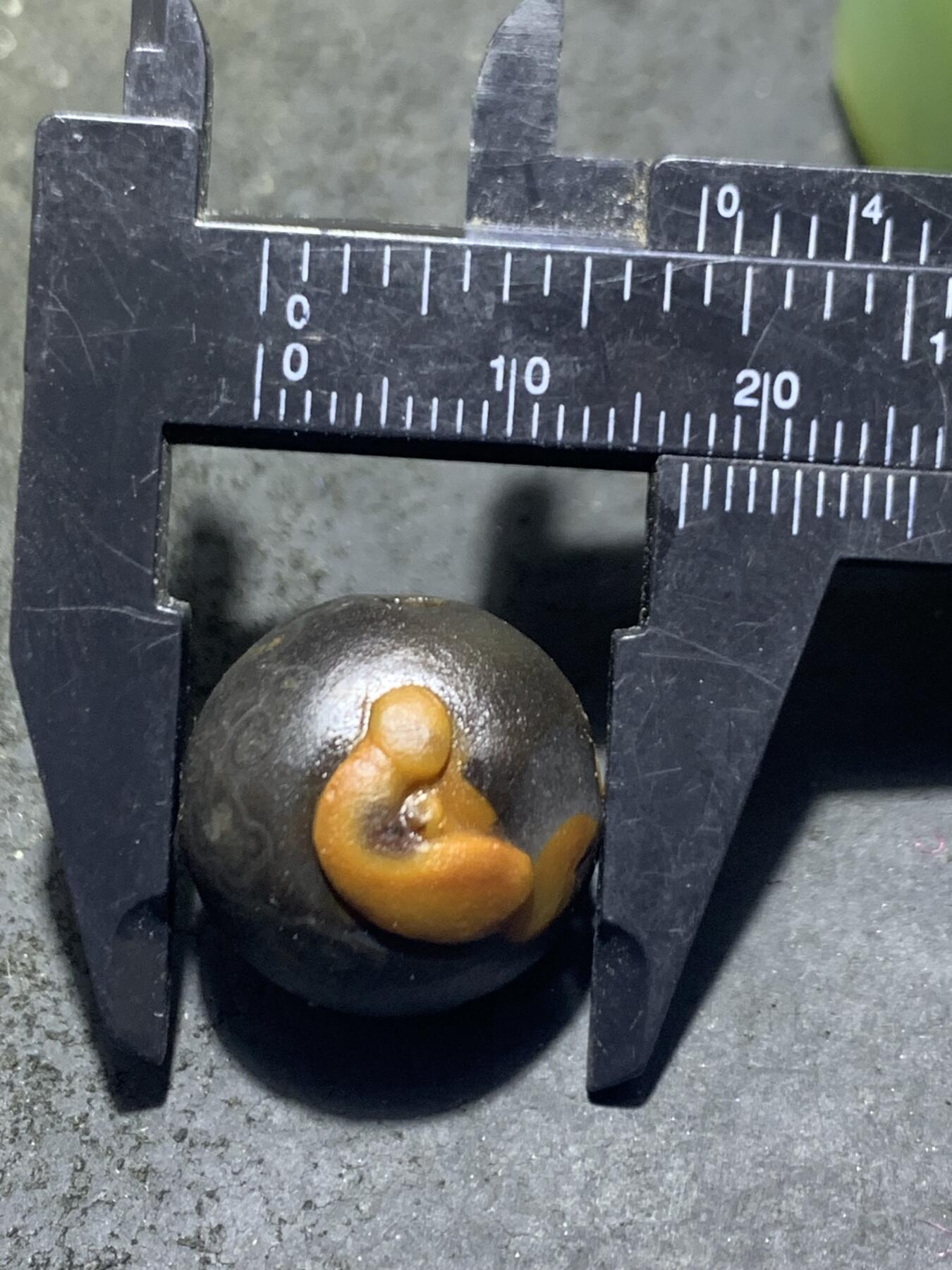 精美亚光战国红玛瑙手工俏色巧雕无相佛如意圆珠一个，