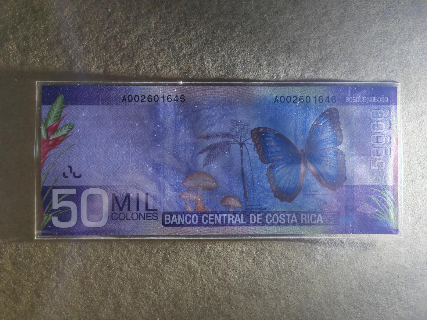 【礼羽收藏】🌏世界钱币拍卖第105期