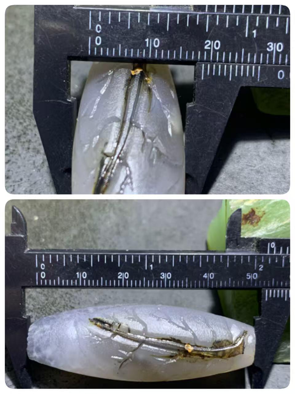 精美天然亚光高玉化白玉髓冰飘九眼页岩天珠雕刻一叶成佛把件（吊坠）一个！
