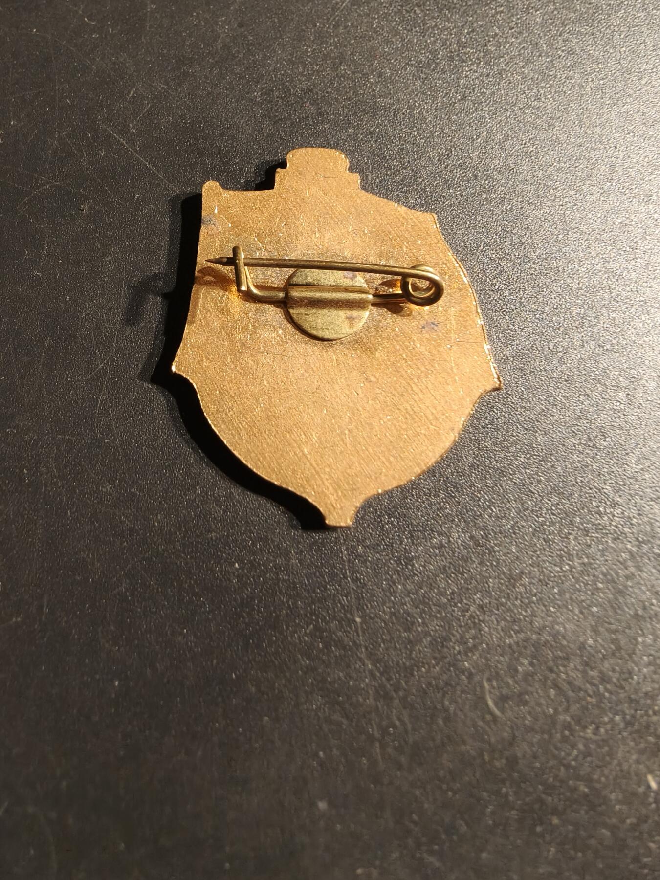 老王徽章第153期