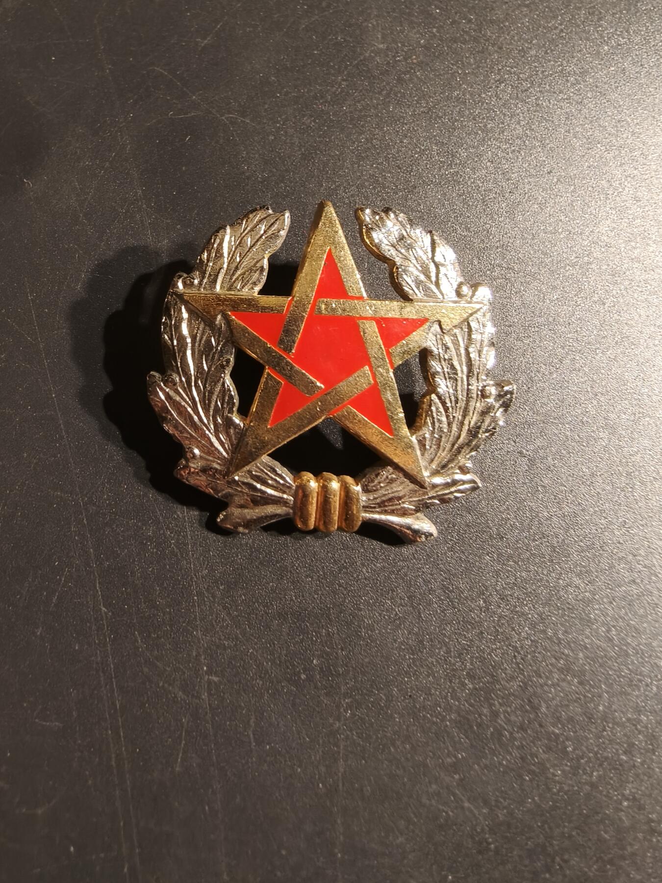 老王徽章第153期 摩洛哥皇家宪兵队