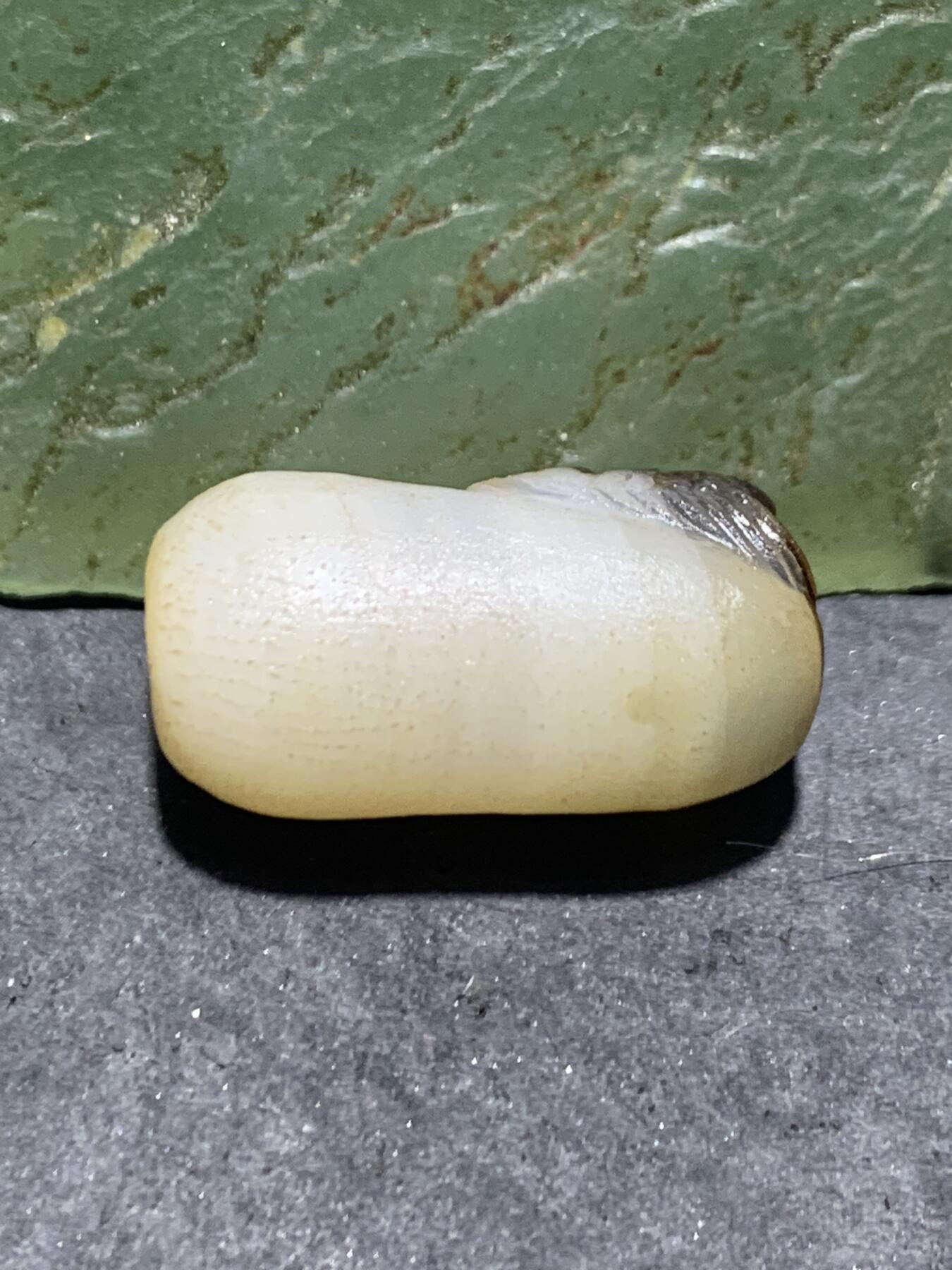 精美亚光高玉化海洋玉髓手工俏色巧雕神仙鱼随形桶珠一个！