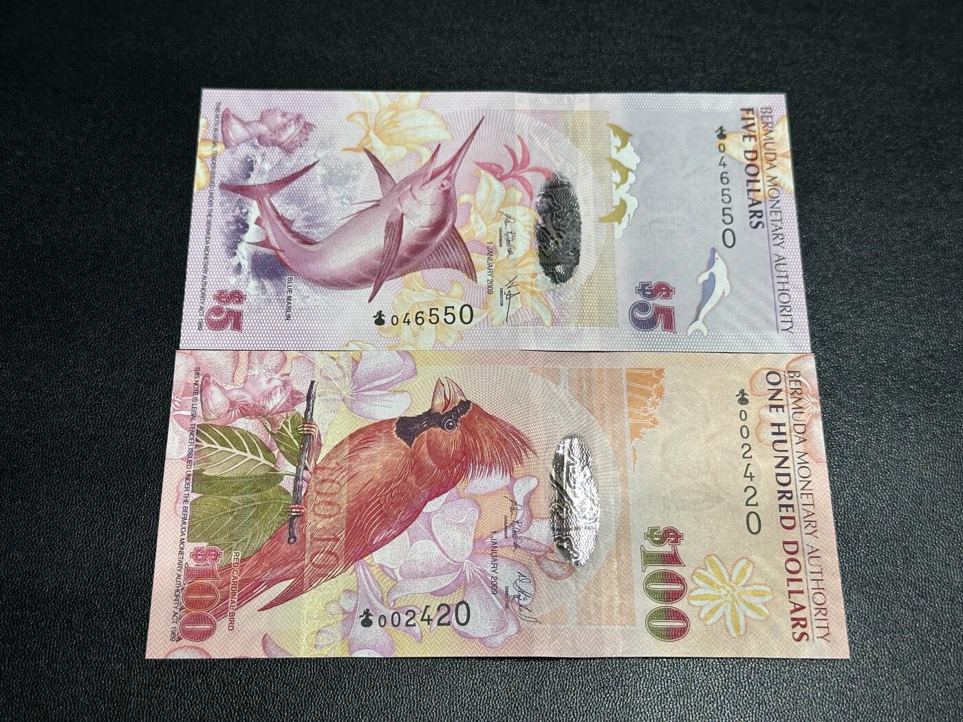 《外钞收藏家》第五百七十二期（畅拍场）（本平台长期征集拍品、欢迎藏友们联系合作） 2009年百慕大5和100元 两张一起 洋葱冠 全新UNC