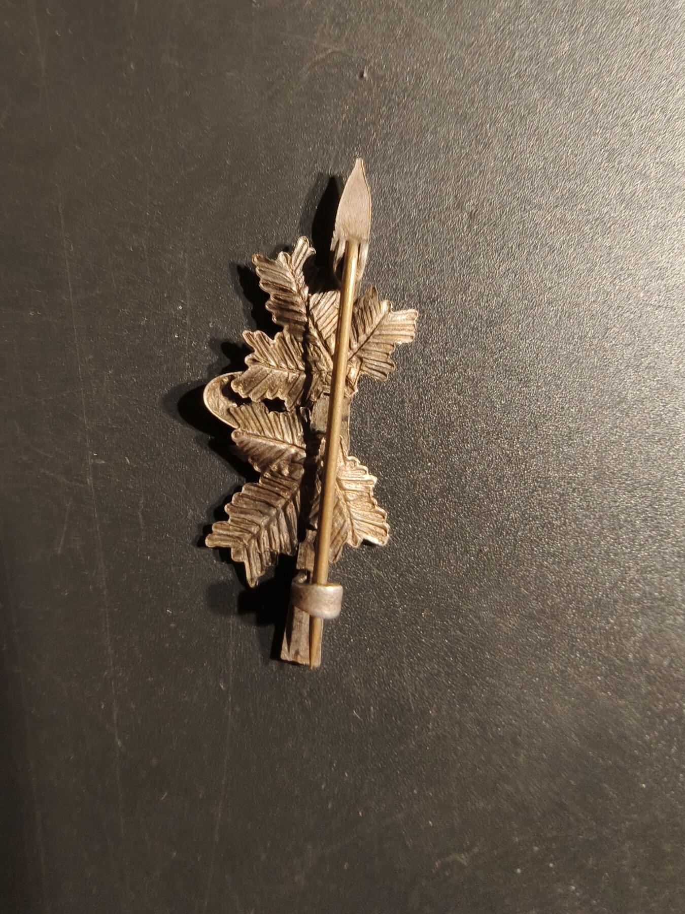 老王徽章第153期 德国徽章