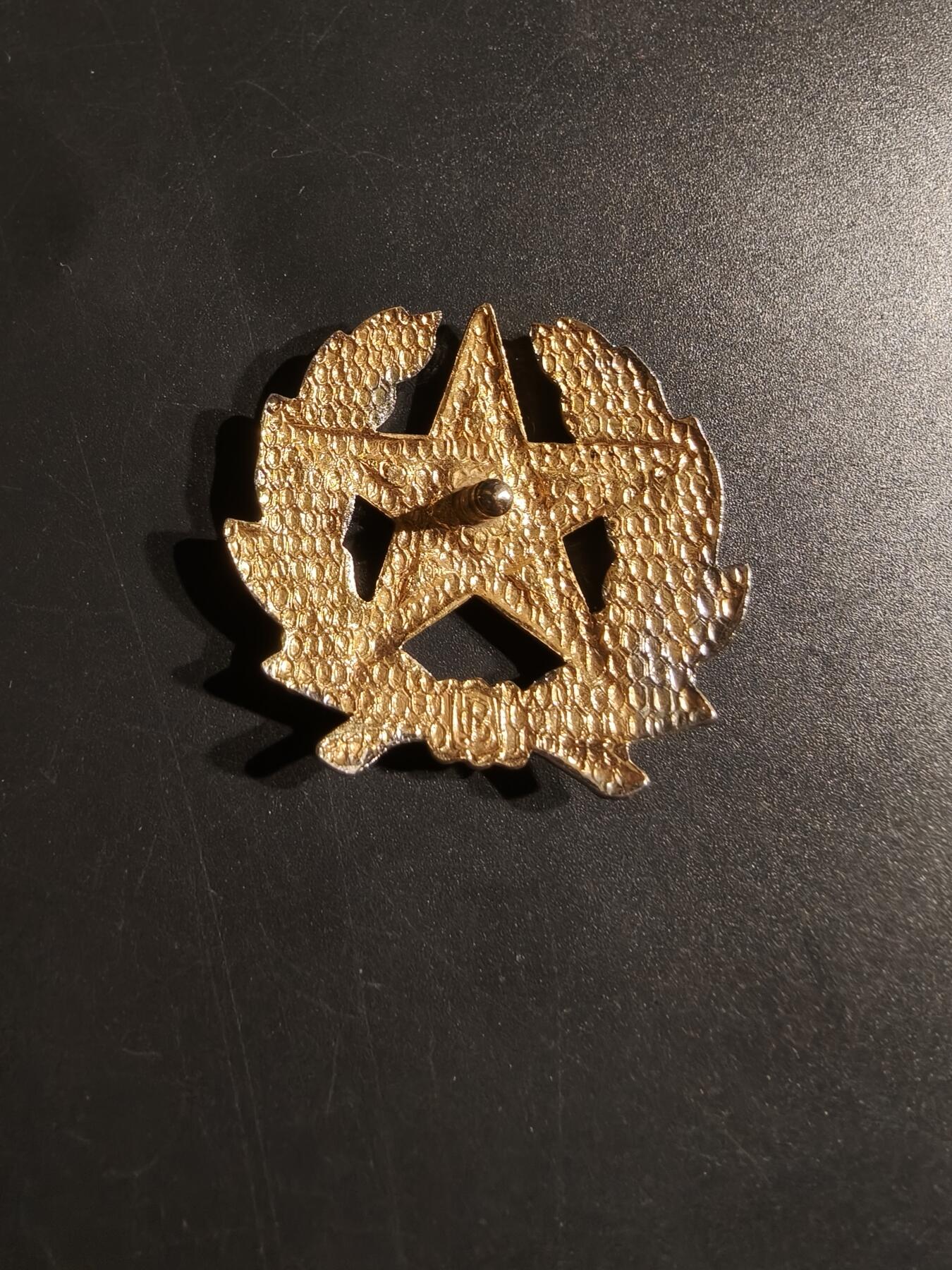 老王徽章第153期 摩洛哥皇家宪兵队