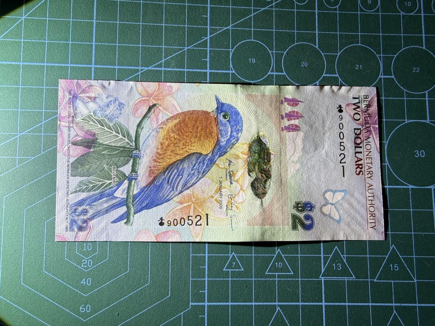 【炜奕收藏】，第四十六期