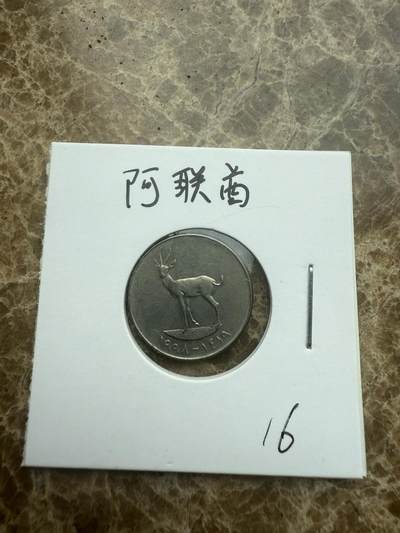 四海杂货铺试营业 - 阿联酋硬币