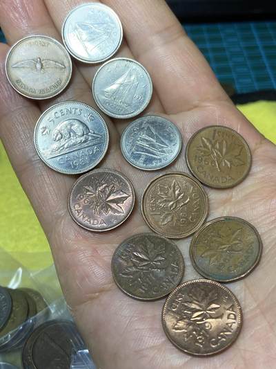 2025年第一百零一场(总第一百二十七场）外国好品散币(免佣金) - 加拿大🇨🇦11枚各种版本：1967年1分，1999年1974年1986年10分，1981年5分，1964年66年77年82年79年82年1分
