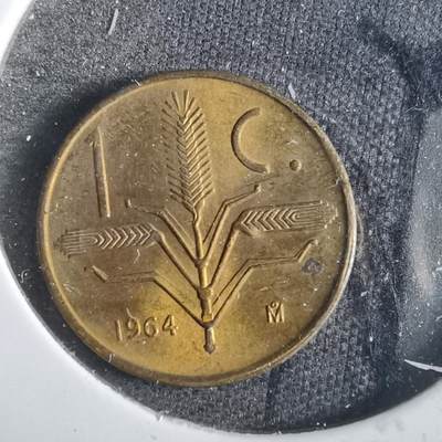 沼泽如烟--第859场 - 墨西哥1964年一分