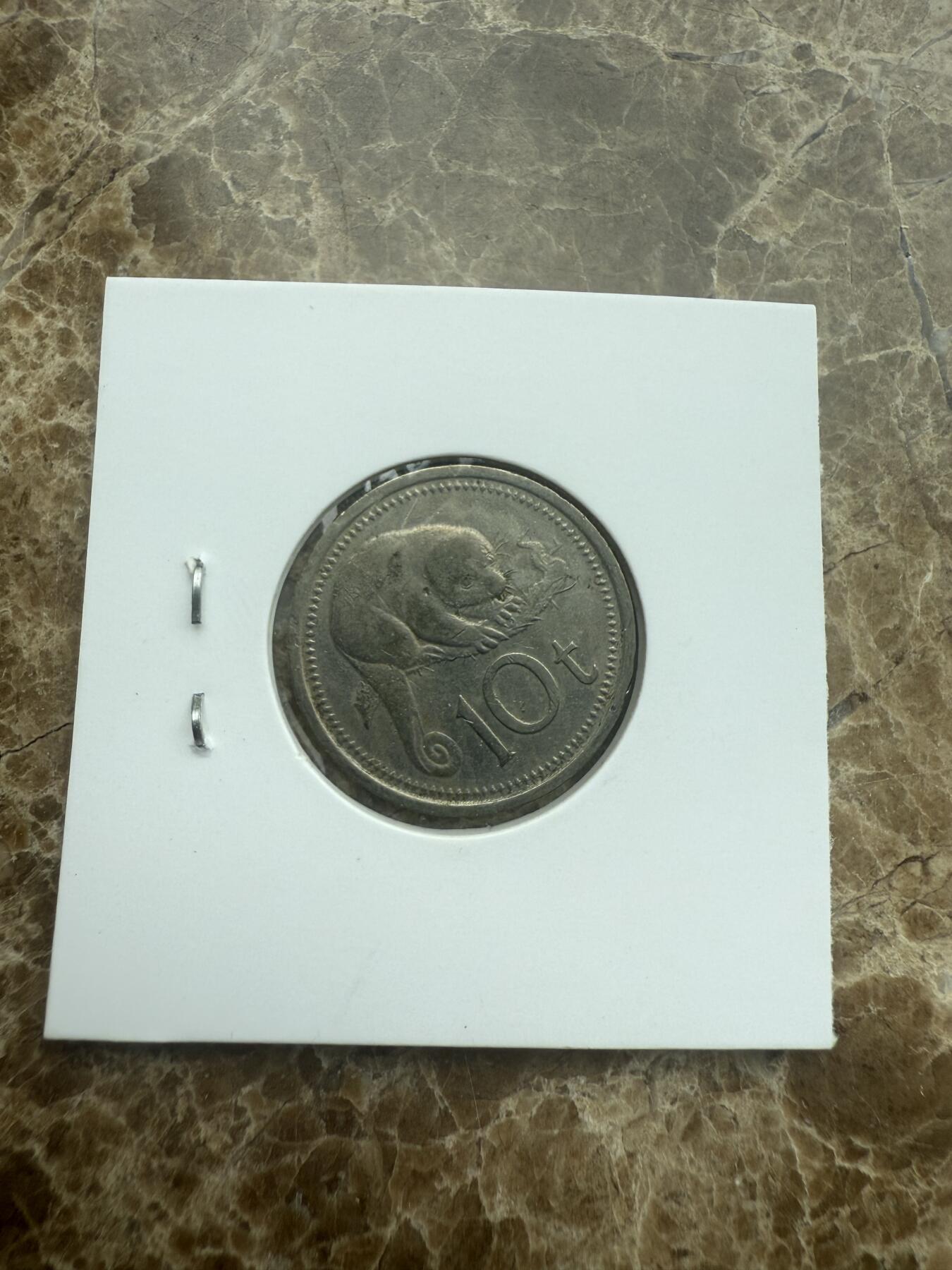 四海杂货铺试营业