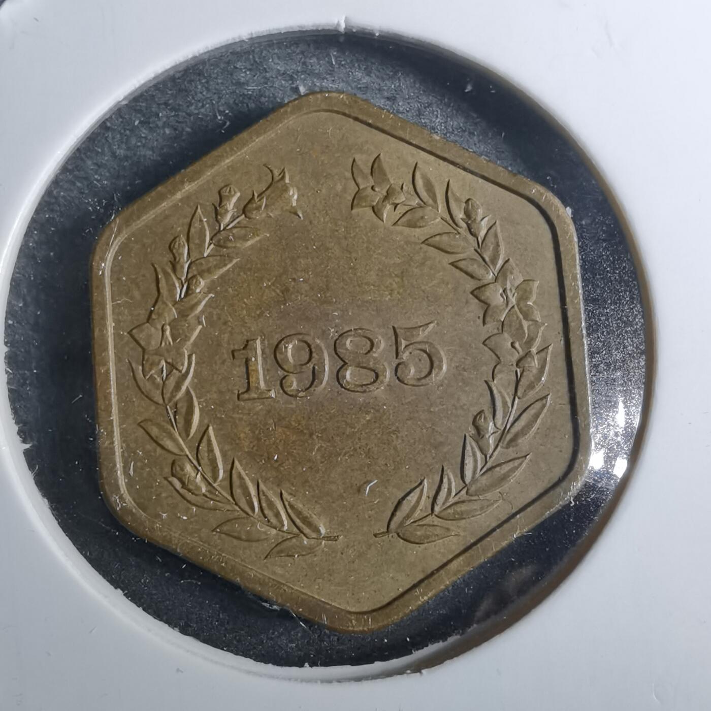 沼泽如烟--第858场 1985年桐叶章