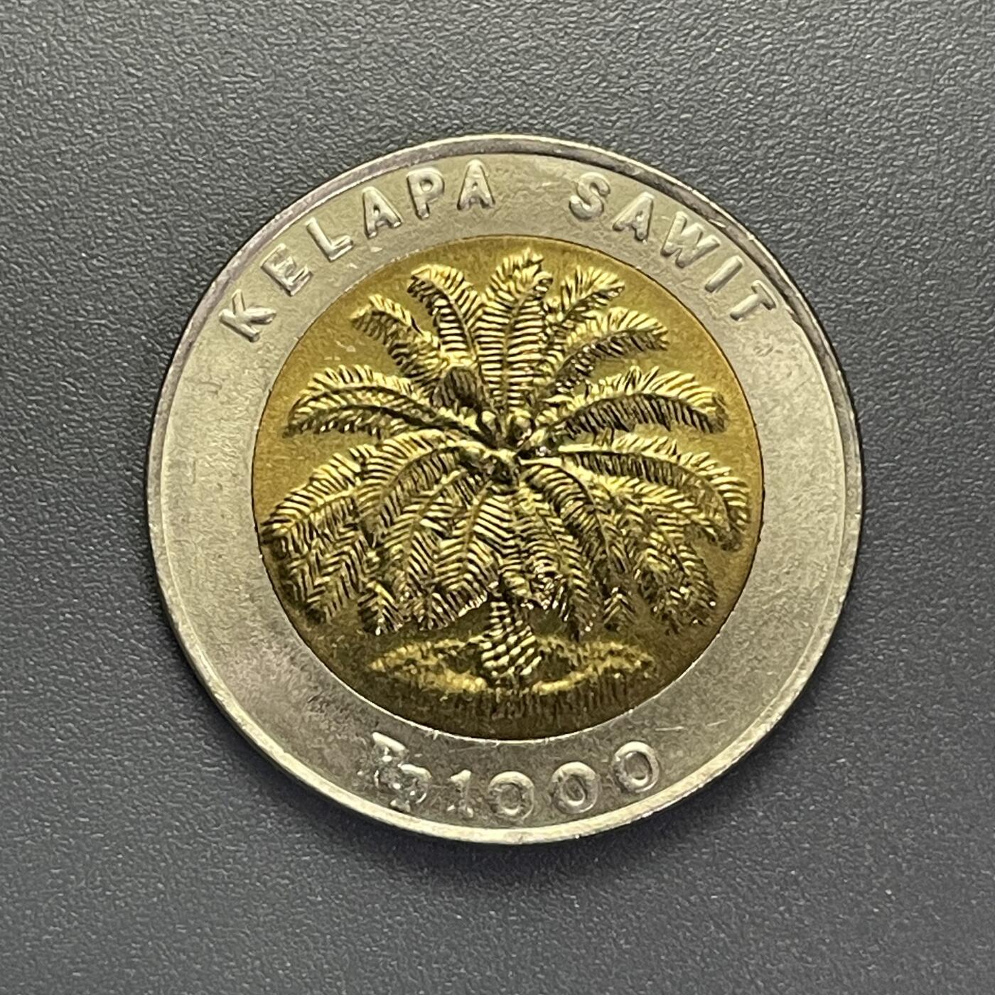 回流1001-2 印度尼西亚1996年1000卢布双金属纪念币 棕榈树