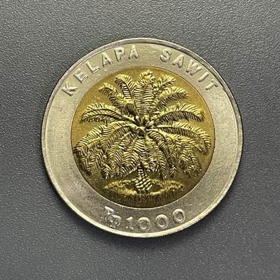 回流1001-2 - 印度尼西亚1996年1000卢布双金属纪念币 棕榈树
