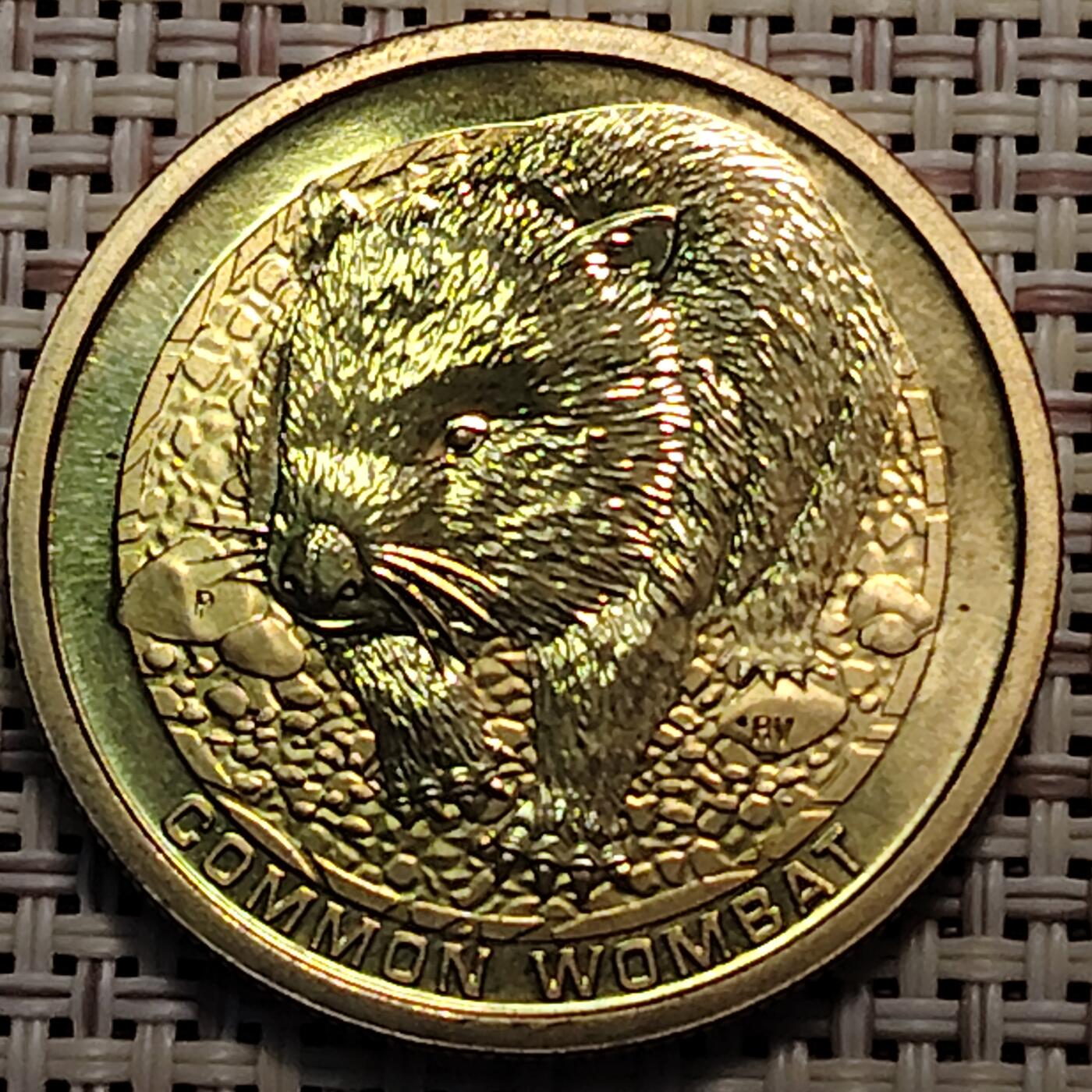 布加迪🐬～世界钱币(上海)🌾第 247 期 /  各国套币和散币 澳大利亚🇦🇺 2008年 1元铜币 29.5mm 袋熊