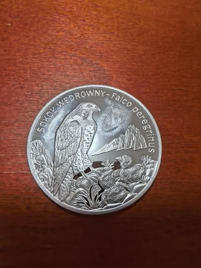 长老汇蛇年精选第五十五场拍卖 - 2008波兰游隼20兹罗提精制银币，28.28克925银