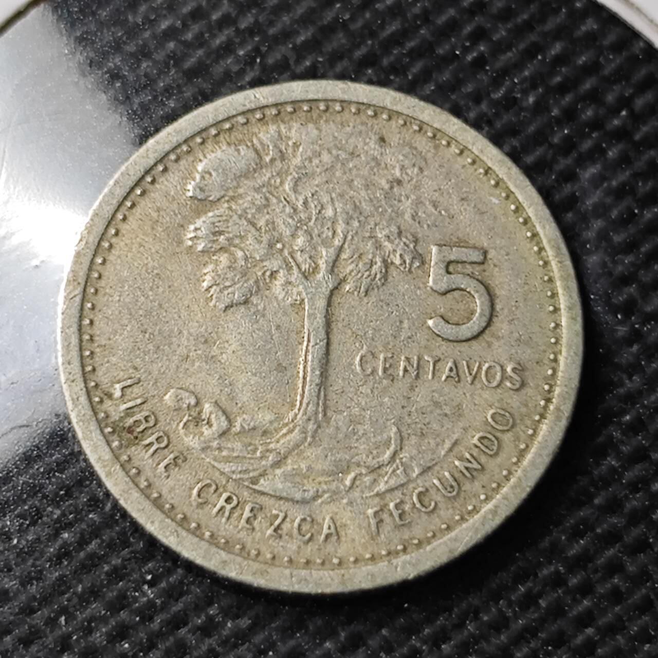 KK钱币收藏小铺 第351场 2月预留时间 周末发货  1977危地马拉5分