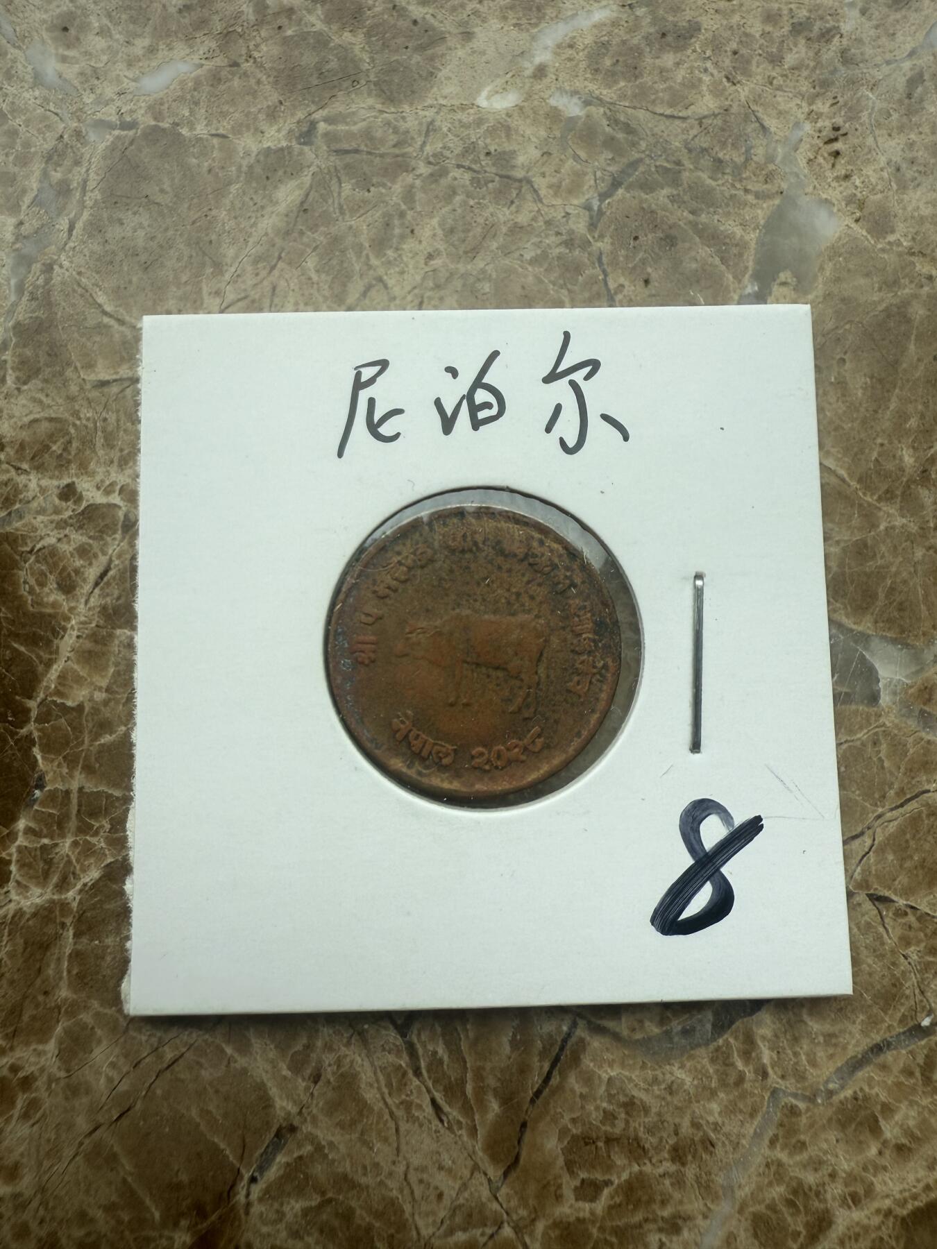 四海杂货铺试营业 尼泊尔硬币