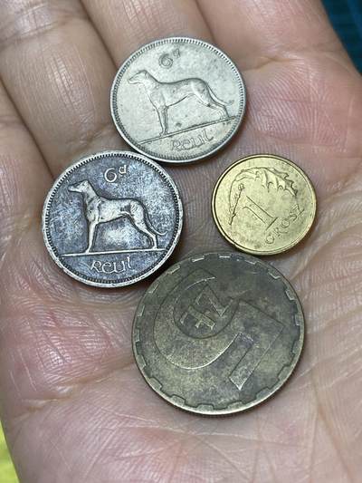 2025年第一百零一场(总第一百二十七场）外国好品散币(免佣金) - 散币4枚：爱尔兰🇮🇪1966年、1962年6便士，波兰🇵🇱2009年1格罗希，1987年5兹罗提