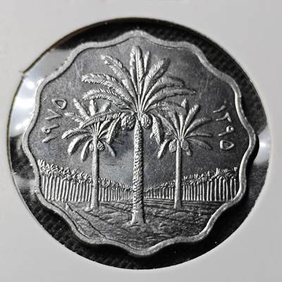 KK钱币收藏小铺 第352场 2月预留时间 周末发货 -  伊拉克10分完椰树 好品