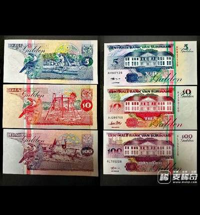 全新苏里南A冠1996、1998年5、10、100盾（gul）靓品纸币3枚一组 - 全新苏里南A冠1996、1998年5、10、100盾（gul）靓品纸币3枚一组