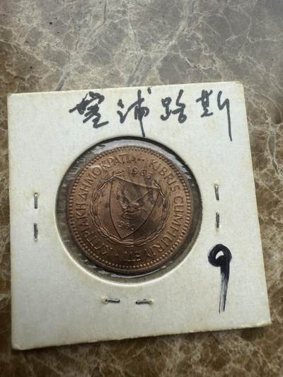 四海杂货铺试营业 - 塞浦路斯硬币
