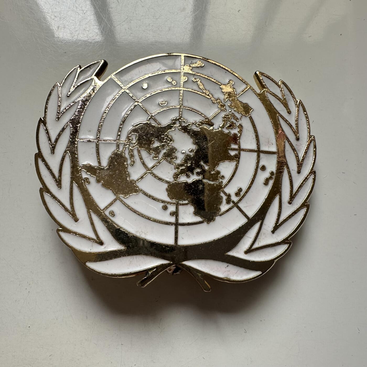 🌹外币初藏🌹🐯2025年第110场  每周二四六晚8️⃣点 接代拍 联合国徽章 最大直径55毫米