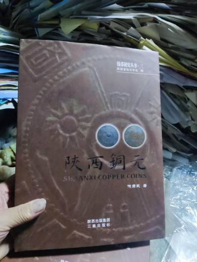 陕西铜元（作者附页签名8.5品左右） - 陕西铜元（作者附页签名8.5品左右）