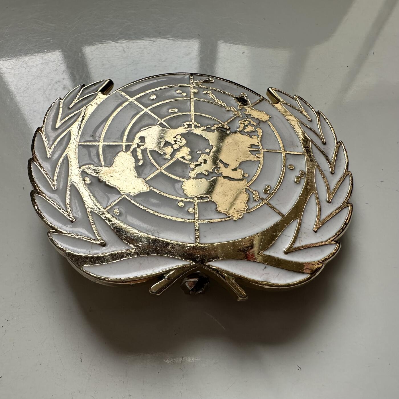 🌹外币初藏🌹🐯2025年第110场  每周二四六晚8️⃣点 接代拍 联合国徽章 最大直径55毫米