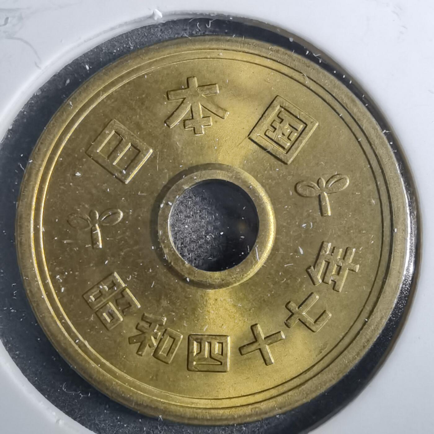 沼泽如烟--第858场