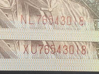 汇源轩收藏35期25.11.7 - 【双胞胎.倒五顺  乱蛇号 】8001 NL.  ⅩU    76543018    裸币2张，可遇不可求，喜欢的不要错过，绝品无斑。