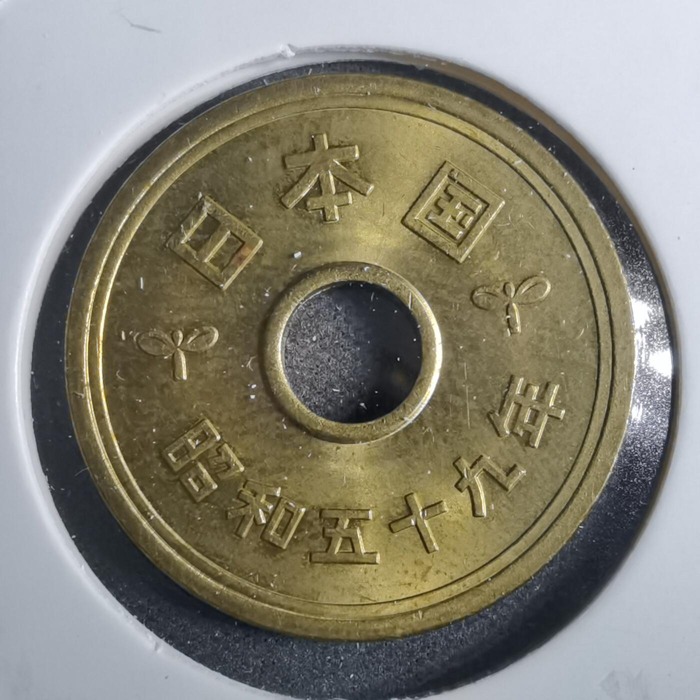 沼泽如烟--第858场