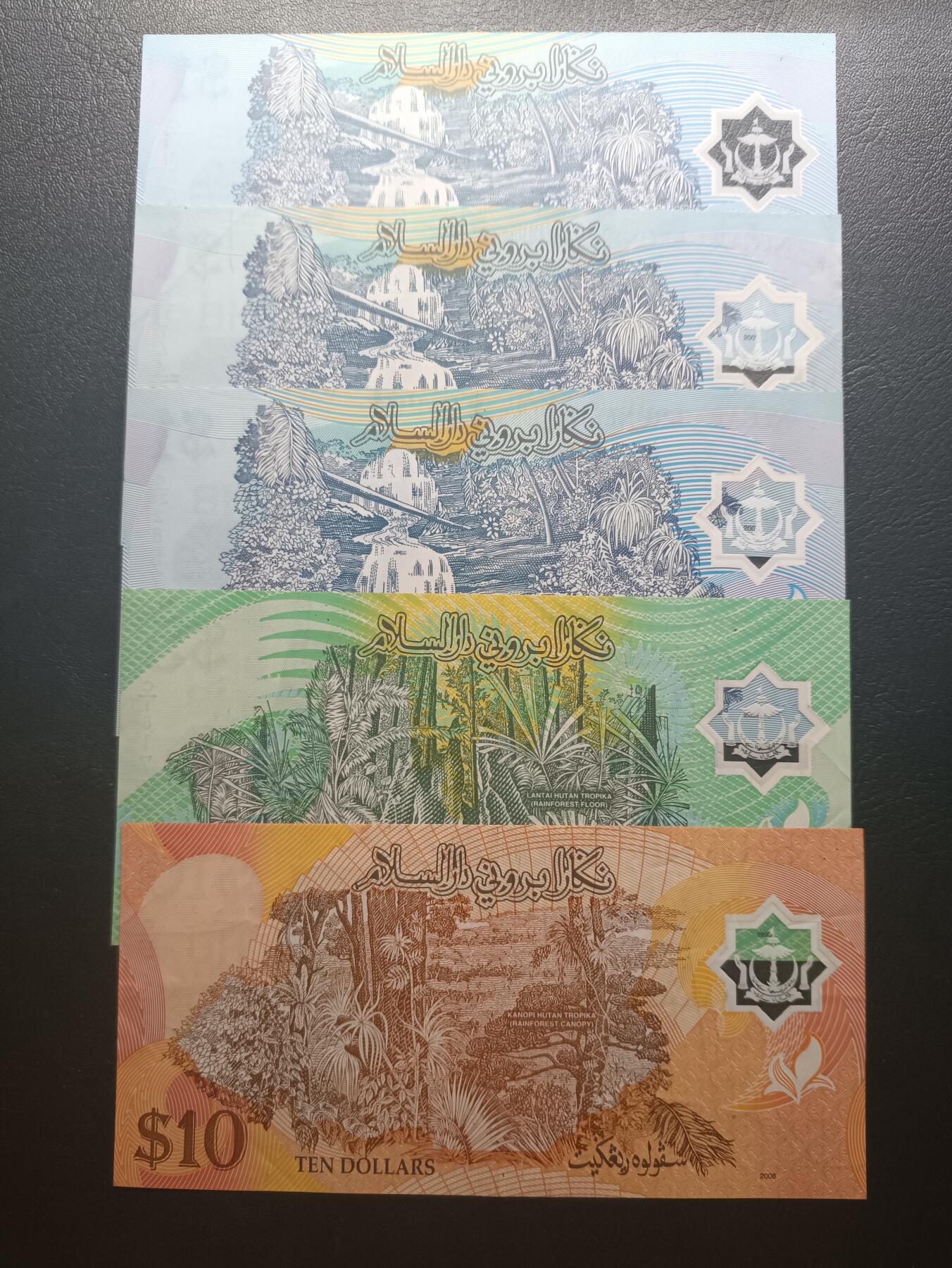 2025十月第一期（总195期），加量第一场~