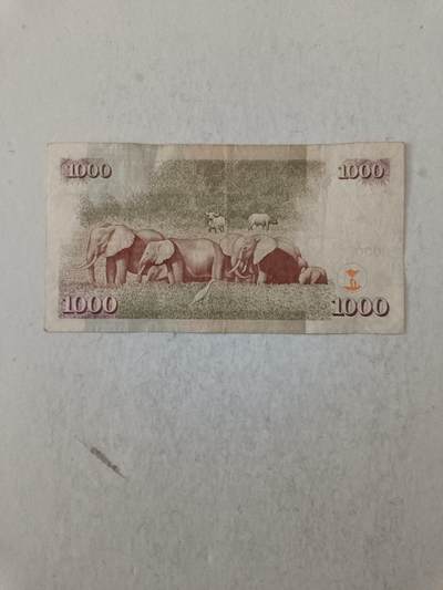 【20251007】非全新纸币第292场 肯尼亚2010年1000先令，汇率价约为55元