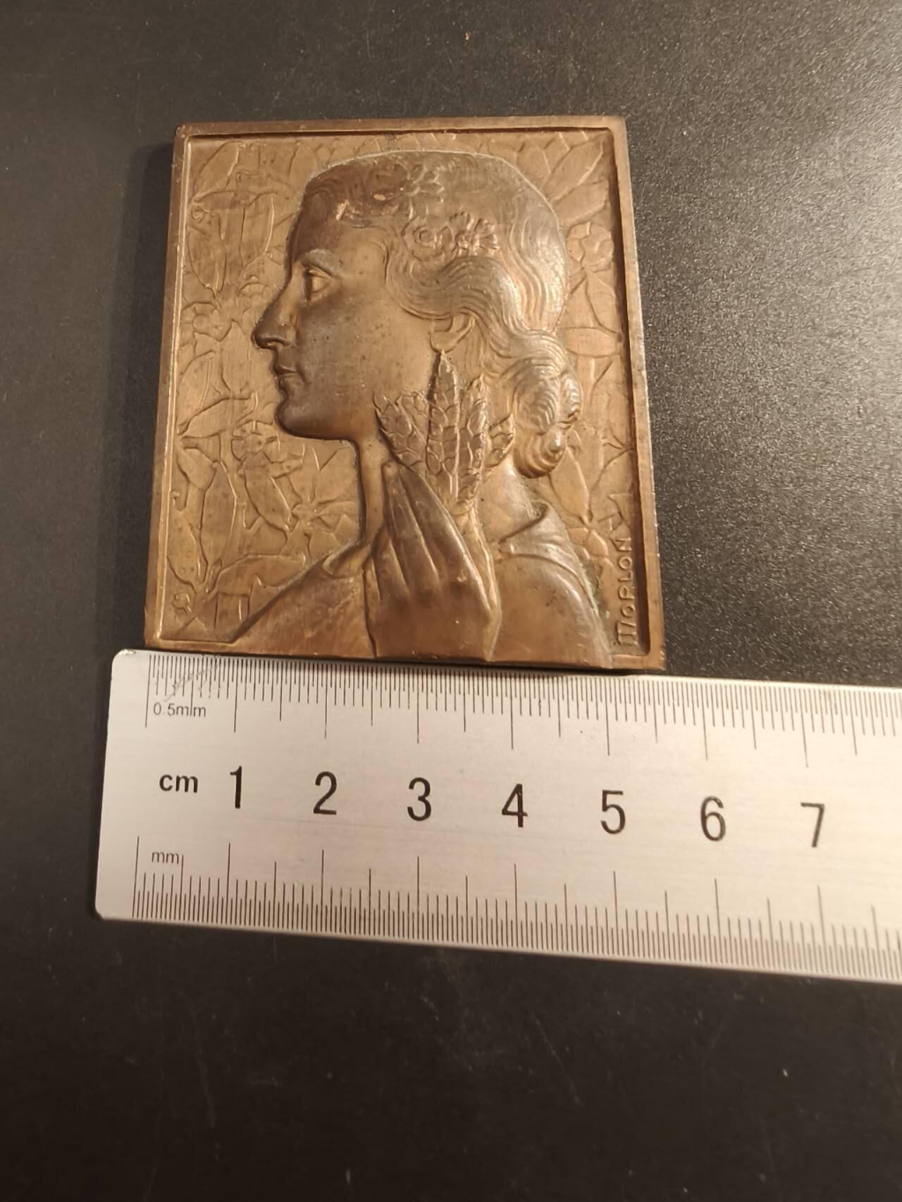 老王徽章第154期  法国众议员赠方形大铜章 大师莫隆作品 尺寸60×53mm. 重量144.7g