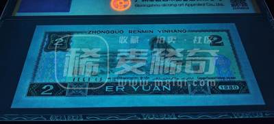 热拍802JZ绿补王绝中绝一张